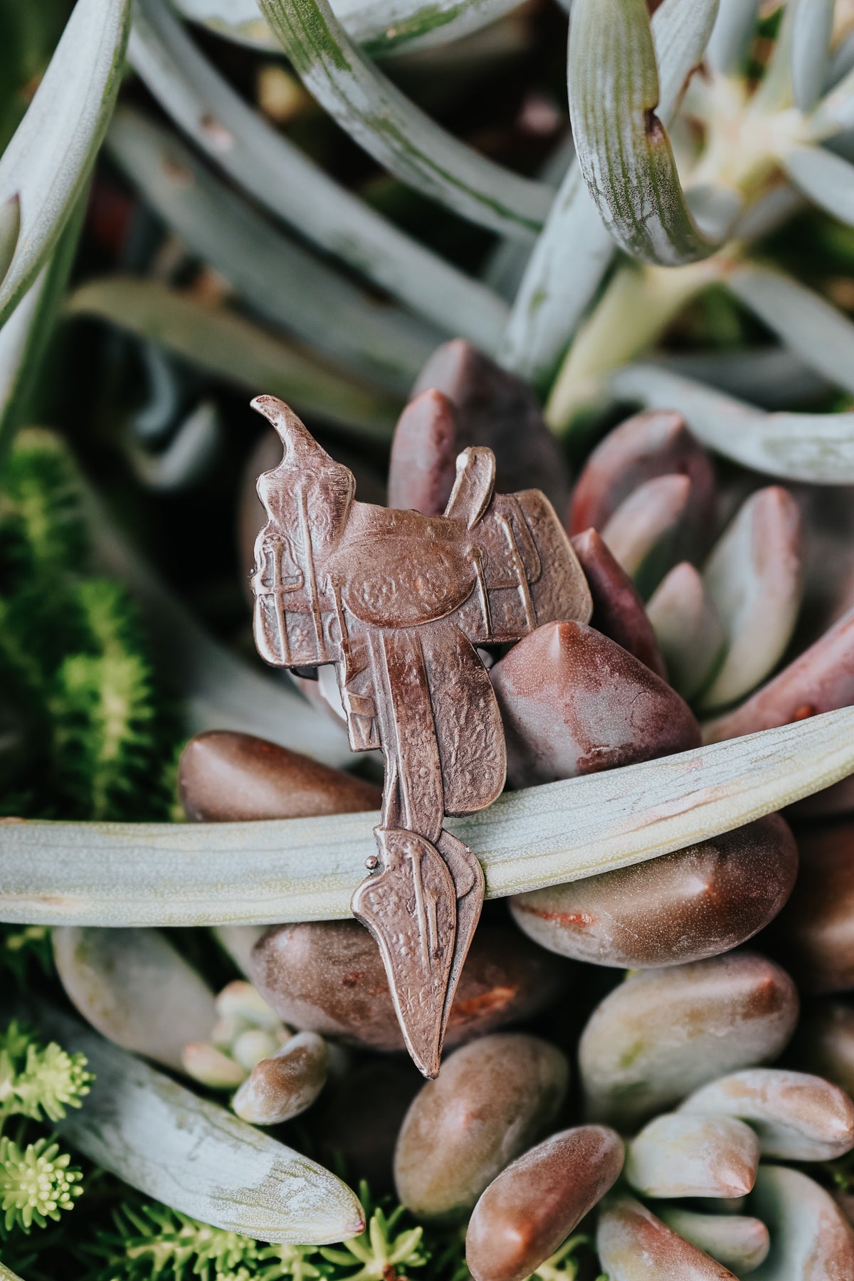 The Silver Saddle Slide